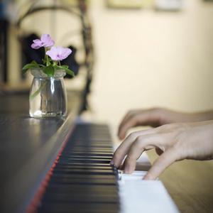 日本一区二区三区免费在线观看
