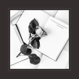 日本一区二区三区免费在线观看
